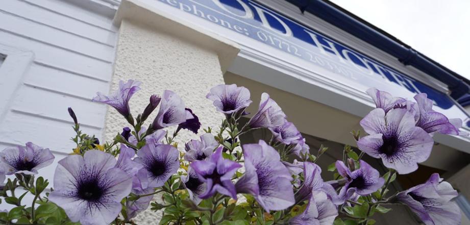 Ashwood Bed & Breakfast 2*